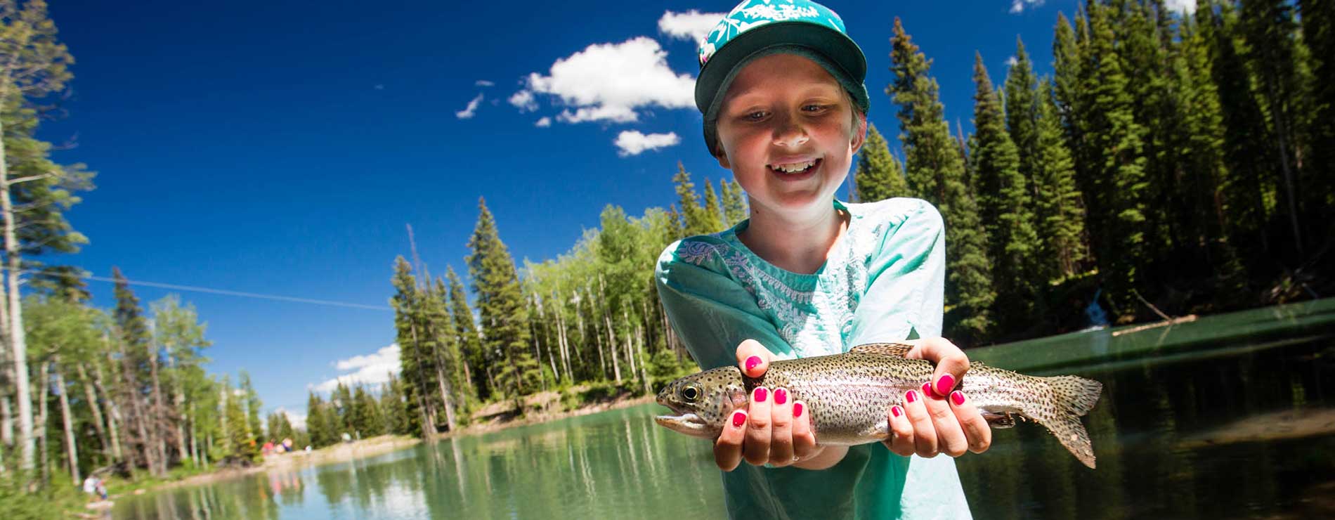 迷失森林强化攻略,迷失森林十九关攻略