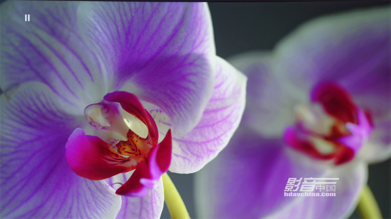 ViewSonic（优派）TX5000K：客厅百寸大屏市场的有力竞争者，拥有抢眼色彩的LED超短焦投影新贵