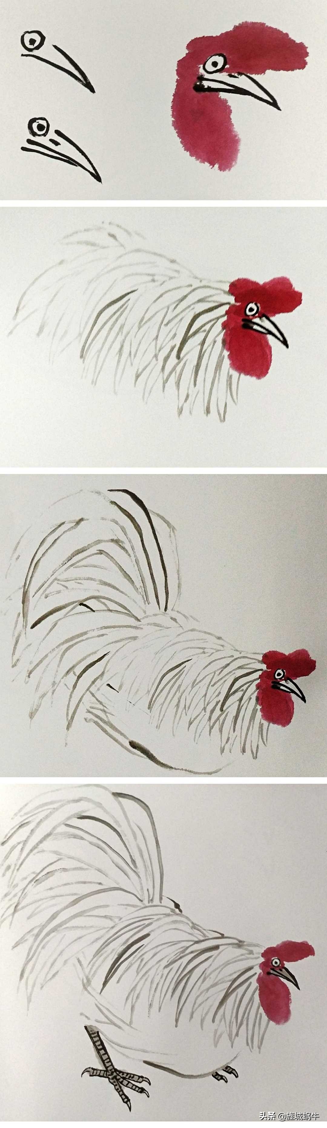 一学就会的禽鸟画法书,禽鸟的画法大全图解