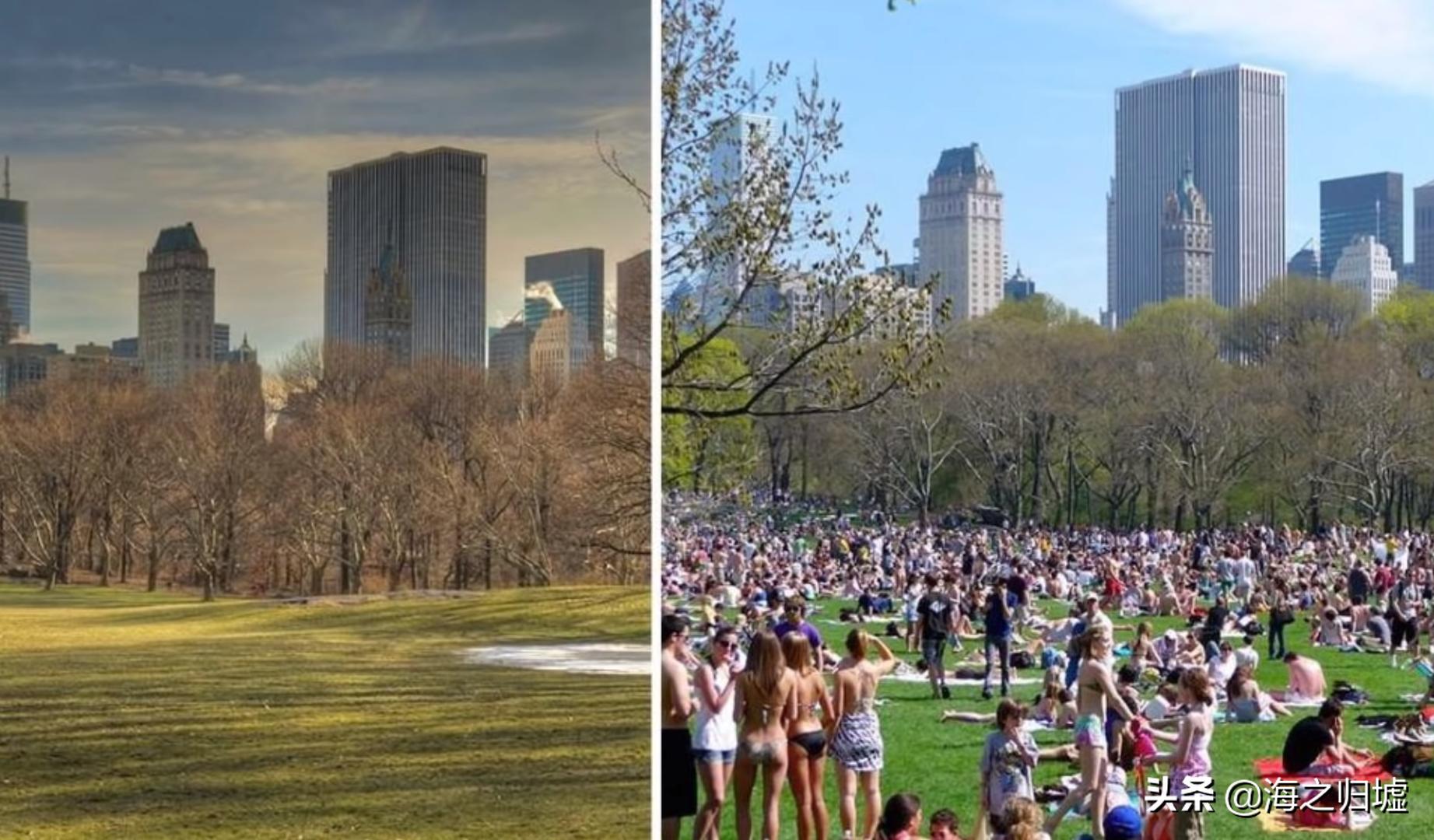 29张“高期望”VS“严酷现实”的照片，看完又涨教训了