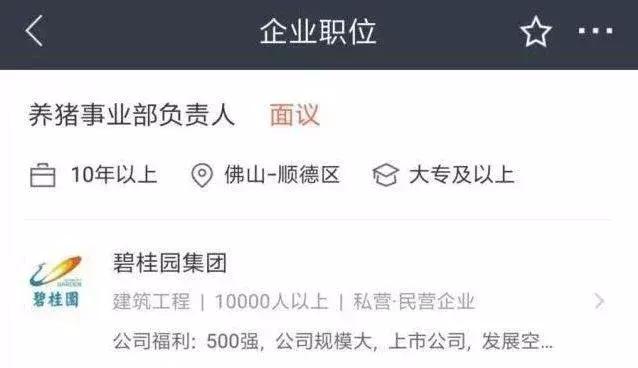 为什么大佬最后选择养猪,为什么大佬们都养猪