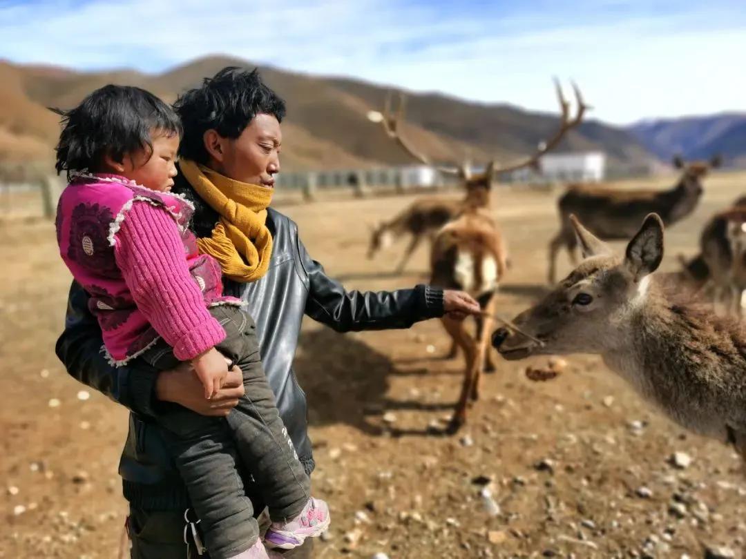 楂樺師涓婄殑椹箍,闈掕棌楂樺師涓婄殑椹箍