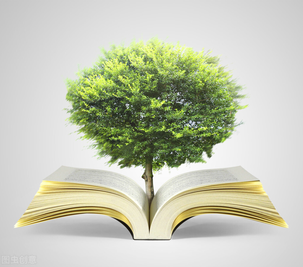 素质教育的基本内涵详细解释,素质教育面向全体学生的反面案例