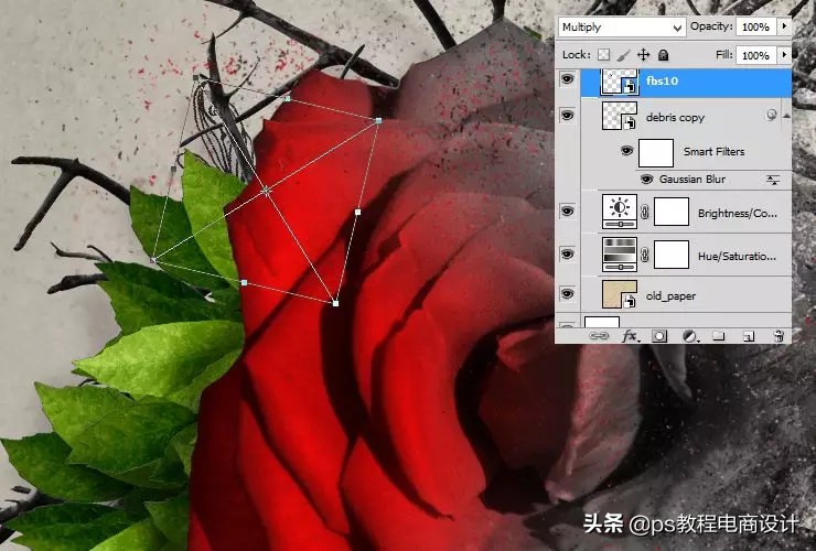 ps怎么把玫瑰变成金黄色,ps蝴蝶和鲜花合成