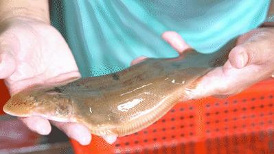 开渔啦一大波海鲜,开渔喽