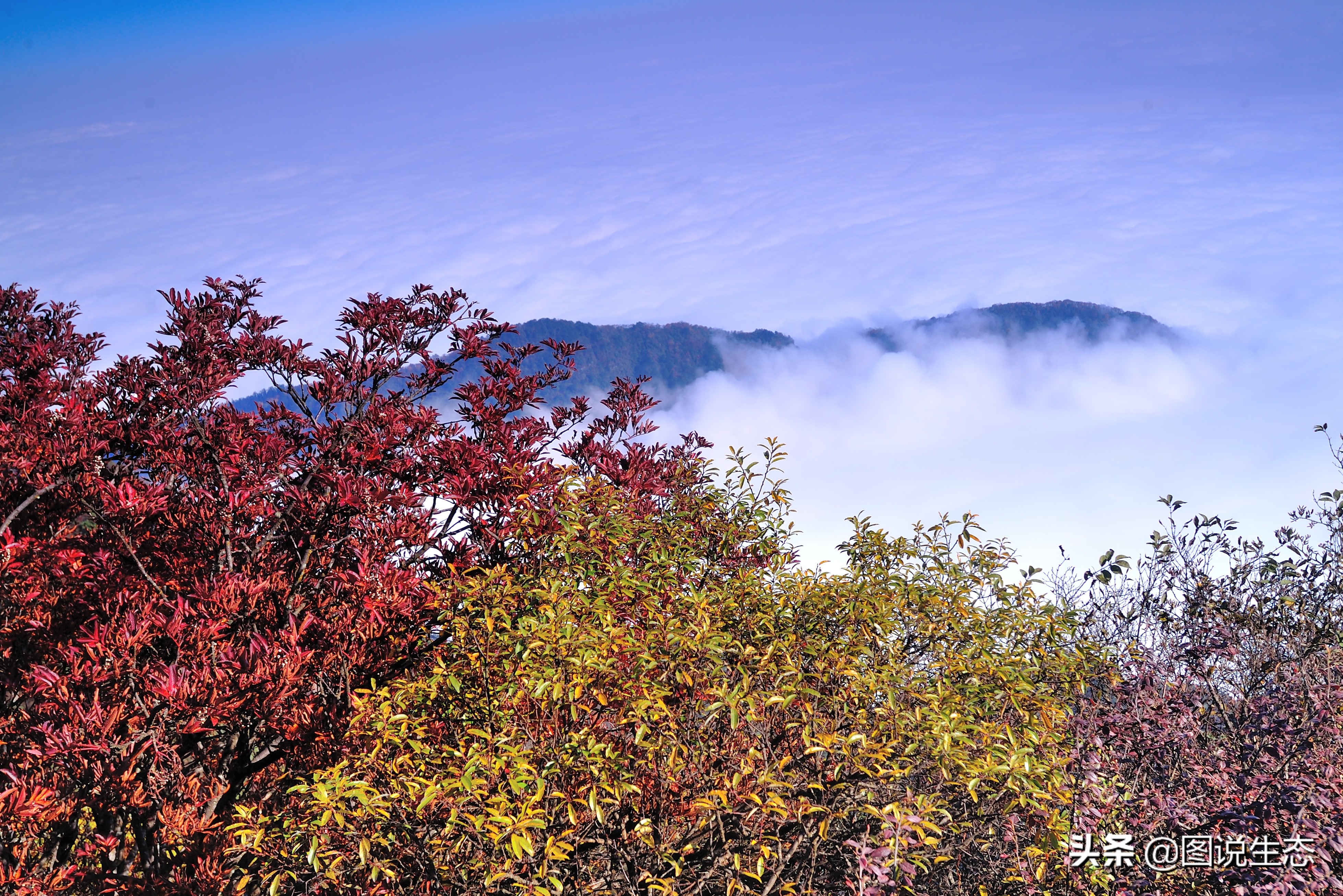 登上峨眉山金顶看风景,峨眉山日出云海佛光圣灯照片