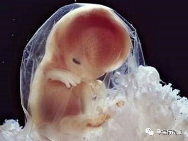 宝妈孕周刊,孕妇的第十周