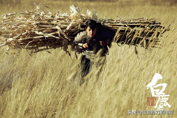 田小娥：“我该何去何从？”——《白鹿原》