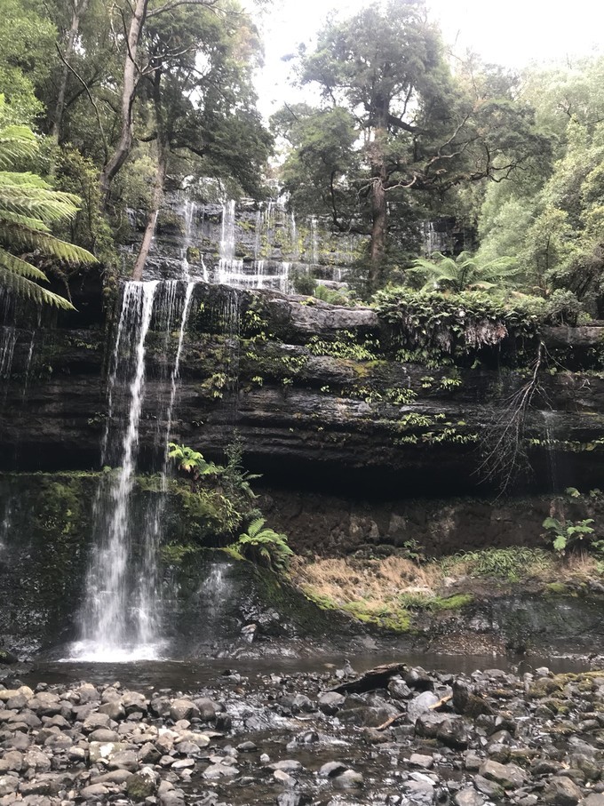 去墨尔本演出,马云到墨尔本见老友