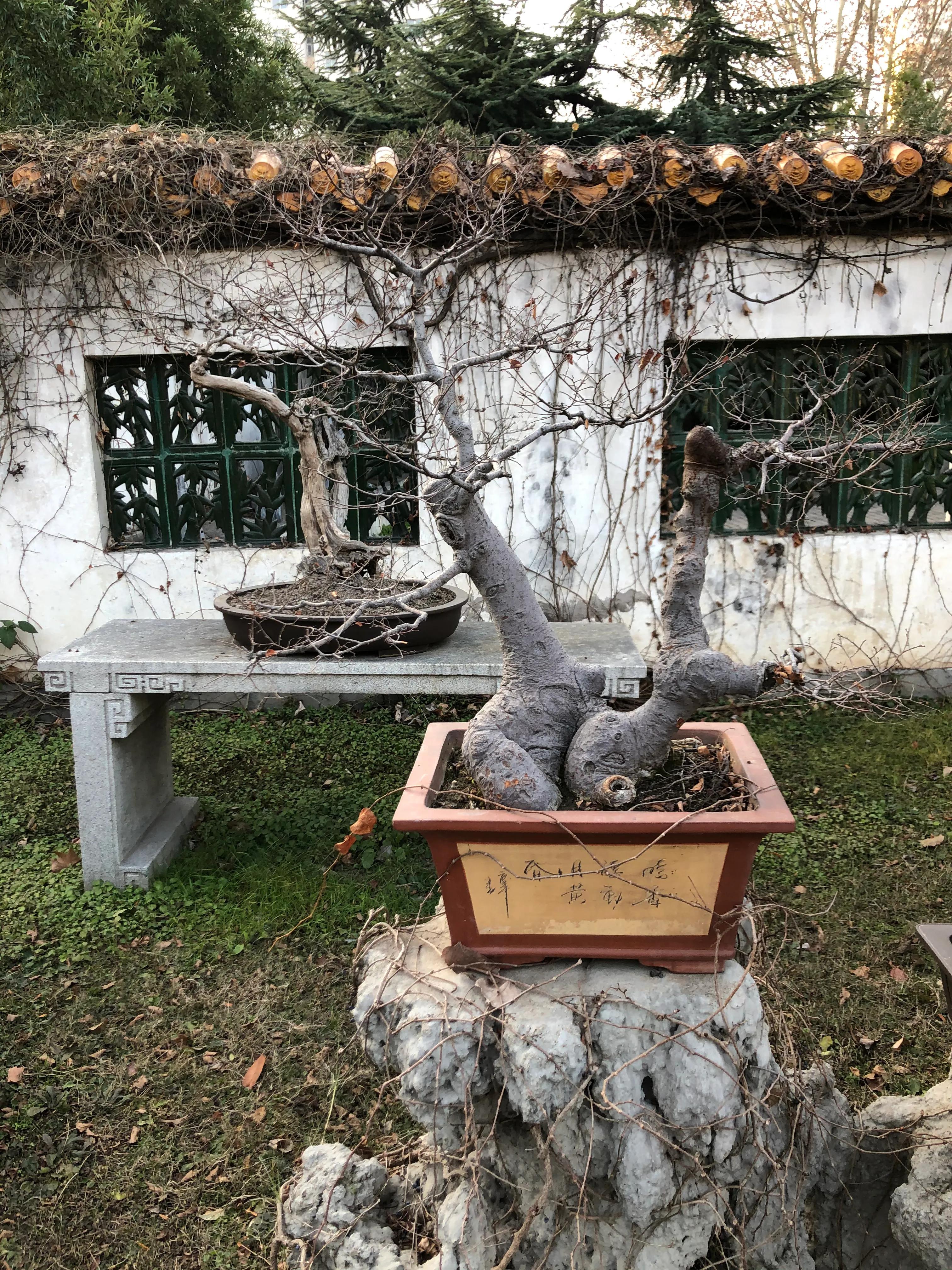 平顶山河滨公园旅游攻略,平顶山森林公园游记