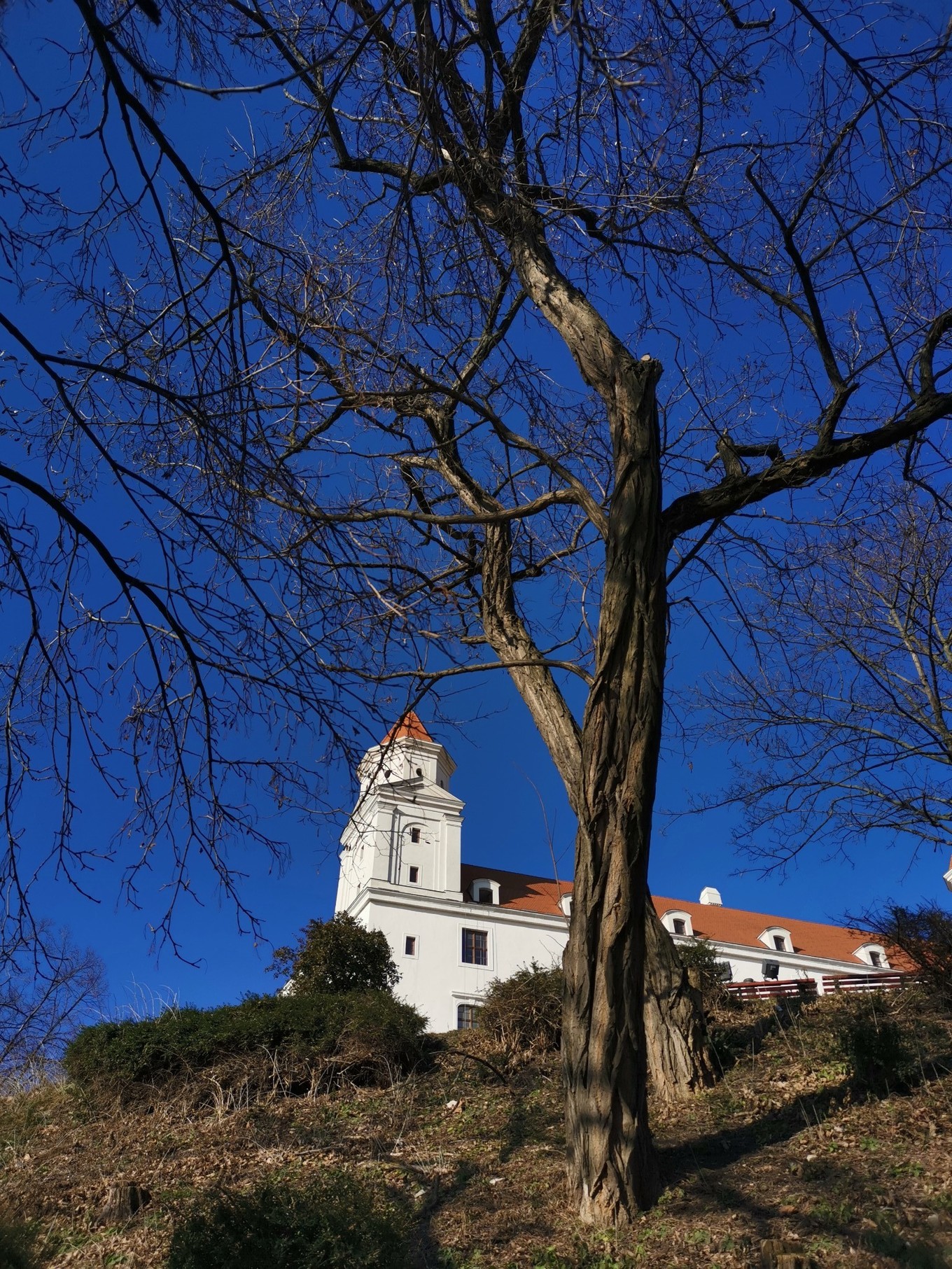 中欧旅游攻略多瑙河,中欧览秀城美食