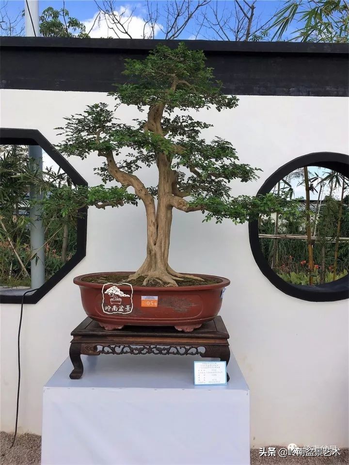 骞哥涔呬箙鐢滅敎铚滆湝,骞哥涔呬箙