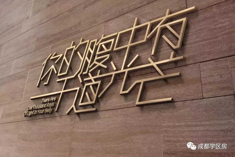 天府新区第五小学排名,天府新区a区学区房