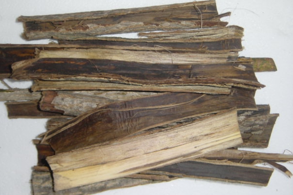 核桃全身都是宝,核桃全身是宝有什么作用