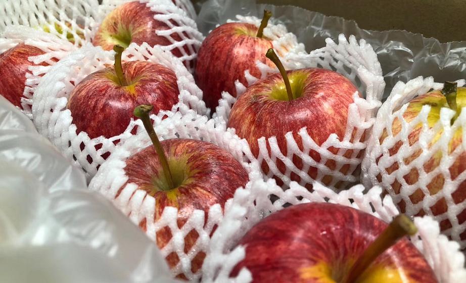 来自新西兰的嘎啦小苹果，一口就让你难忘