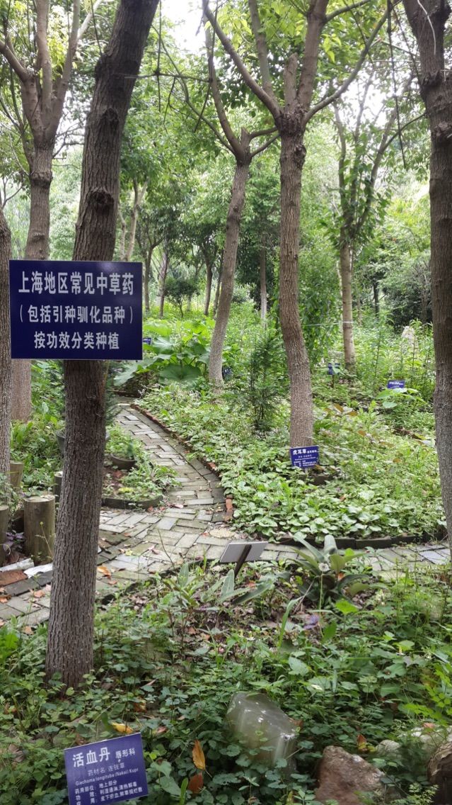 上海周边农家乐旅游推荐,上海周边独栋民宿农家乐推荐