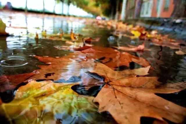 西法大青春力量,西法大