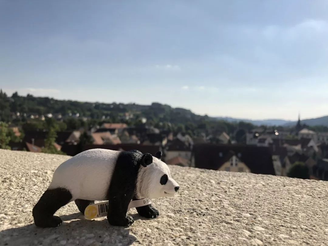 寰峰浗鎬濅箰鍎跨鐜╁叿,鎬濅箰鍝佺墝鐜╁叿