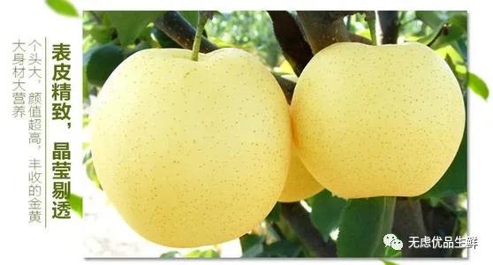 脆甜多汁的皇冠青梨,应季皇冠梨