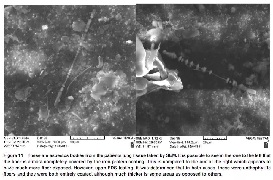 被大牌集体拉黑的它，到底有没有致癌风险？