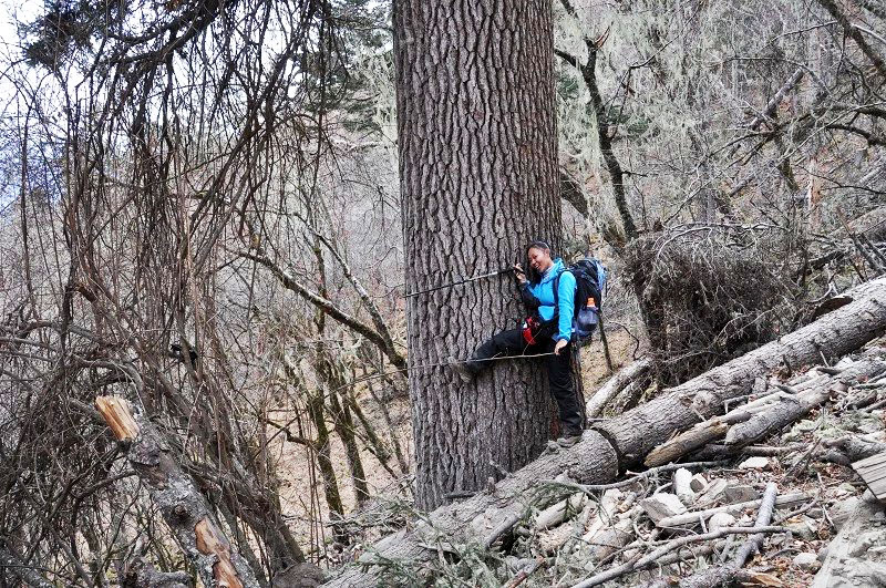 雪山脚下的雨崩村徒步,雨崩村徒步之旅