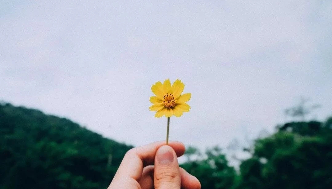 大学您的假期余额已不足,温馨提示你的账户余额不足