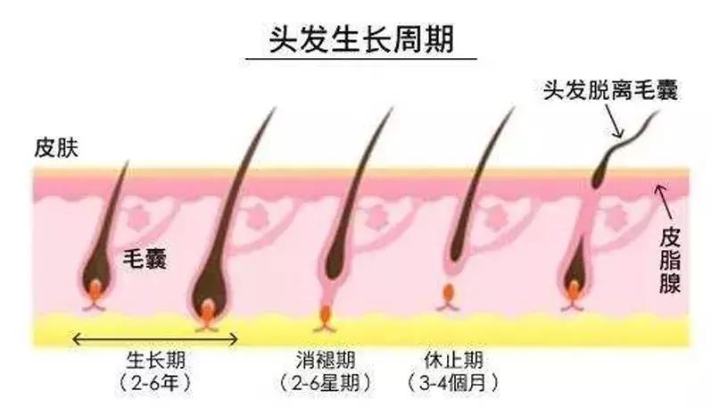 现在美容最火项目,激光脱毛品牌推荐美容院