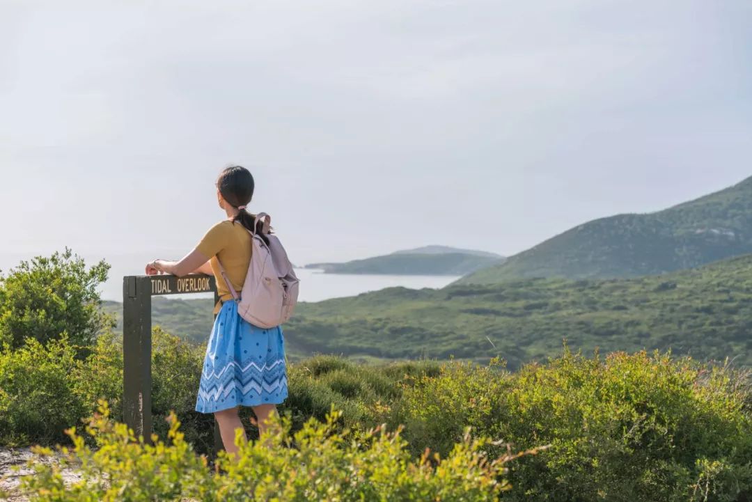 悉尼到阿德莱德自驾游,澳大利亚阿德莱德悉尼距离