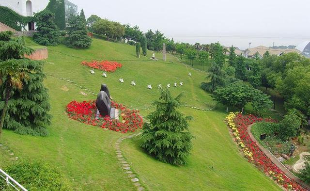 草坪种植技巧,草坪种植技术全过程
