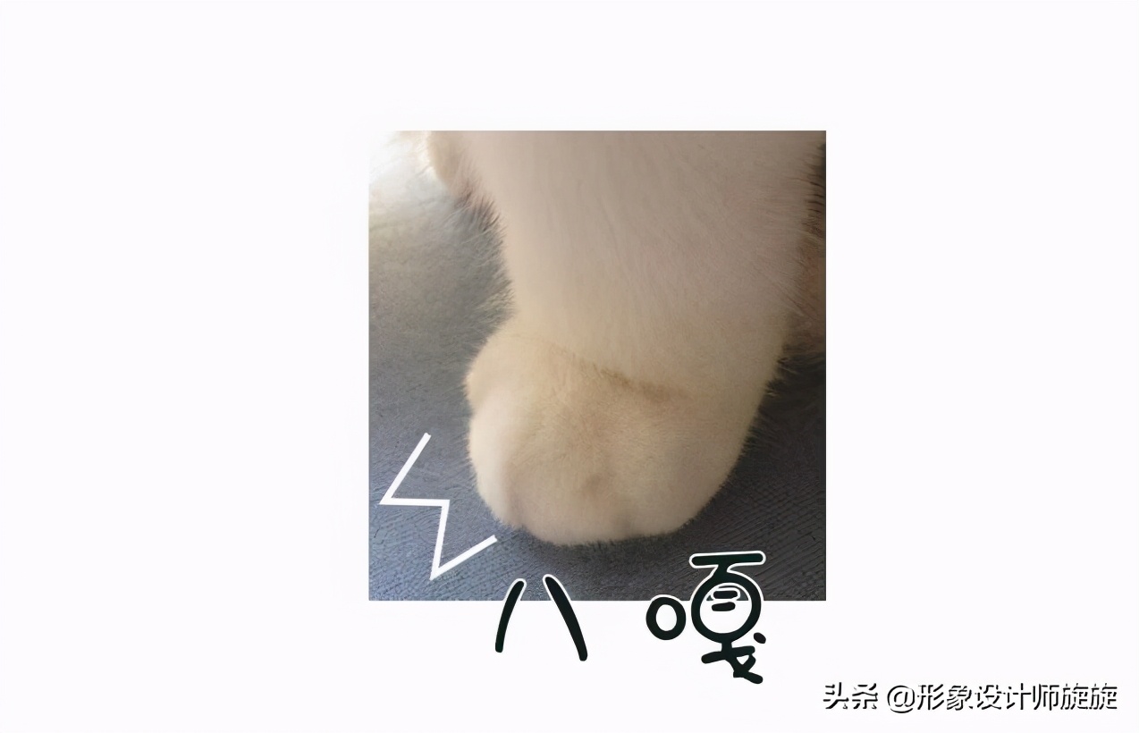 打底袜怎么挑选搭配才能摆脱俗气,打底袜咋样穿