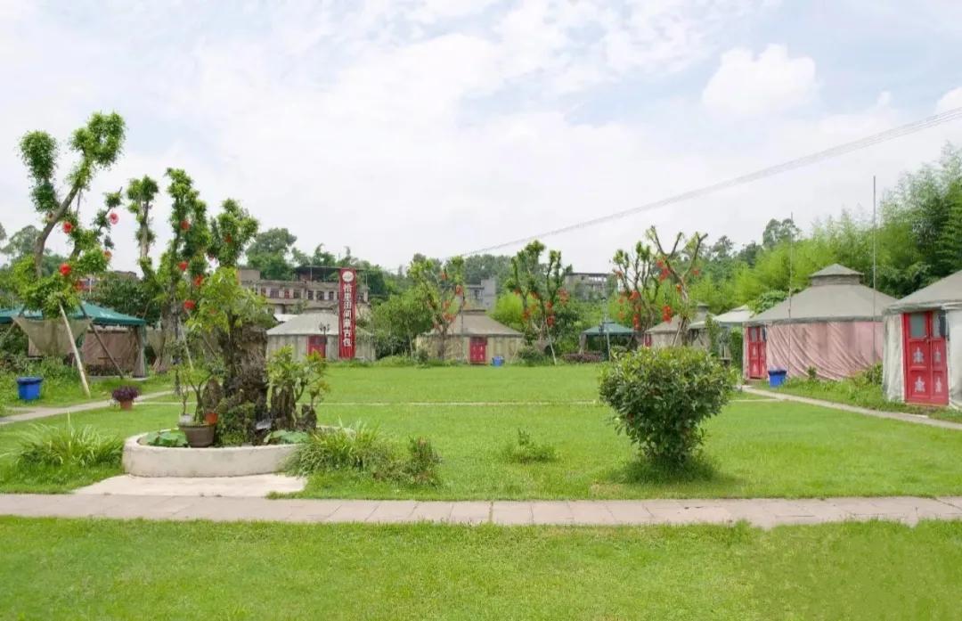 重庆大学城摘草莓的地方,重庆璧山摘草莓的地方推荐