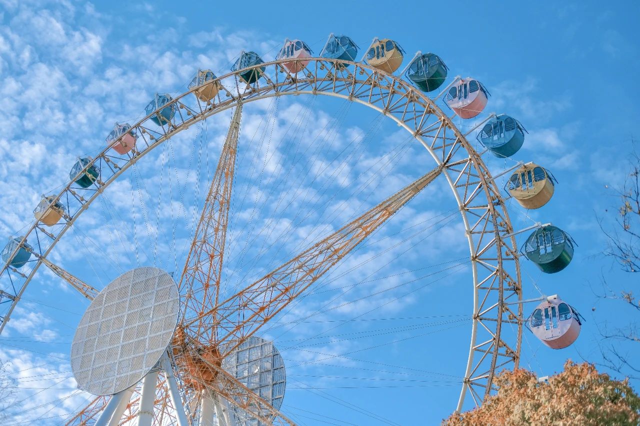 合肥逍遥津公园游乐园,合肥有哪些游乐园