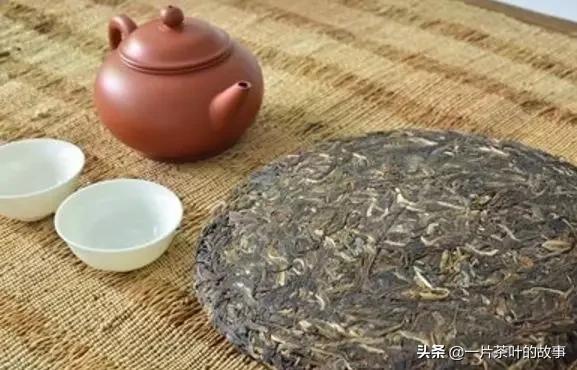 你家的茶叶长“茶虫”吗？冬季“四防”要诀