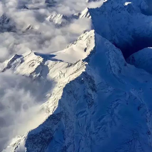 新西兰最有名三文鱼,新西兰帝王鲑三文鱼视频