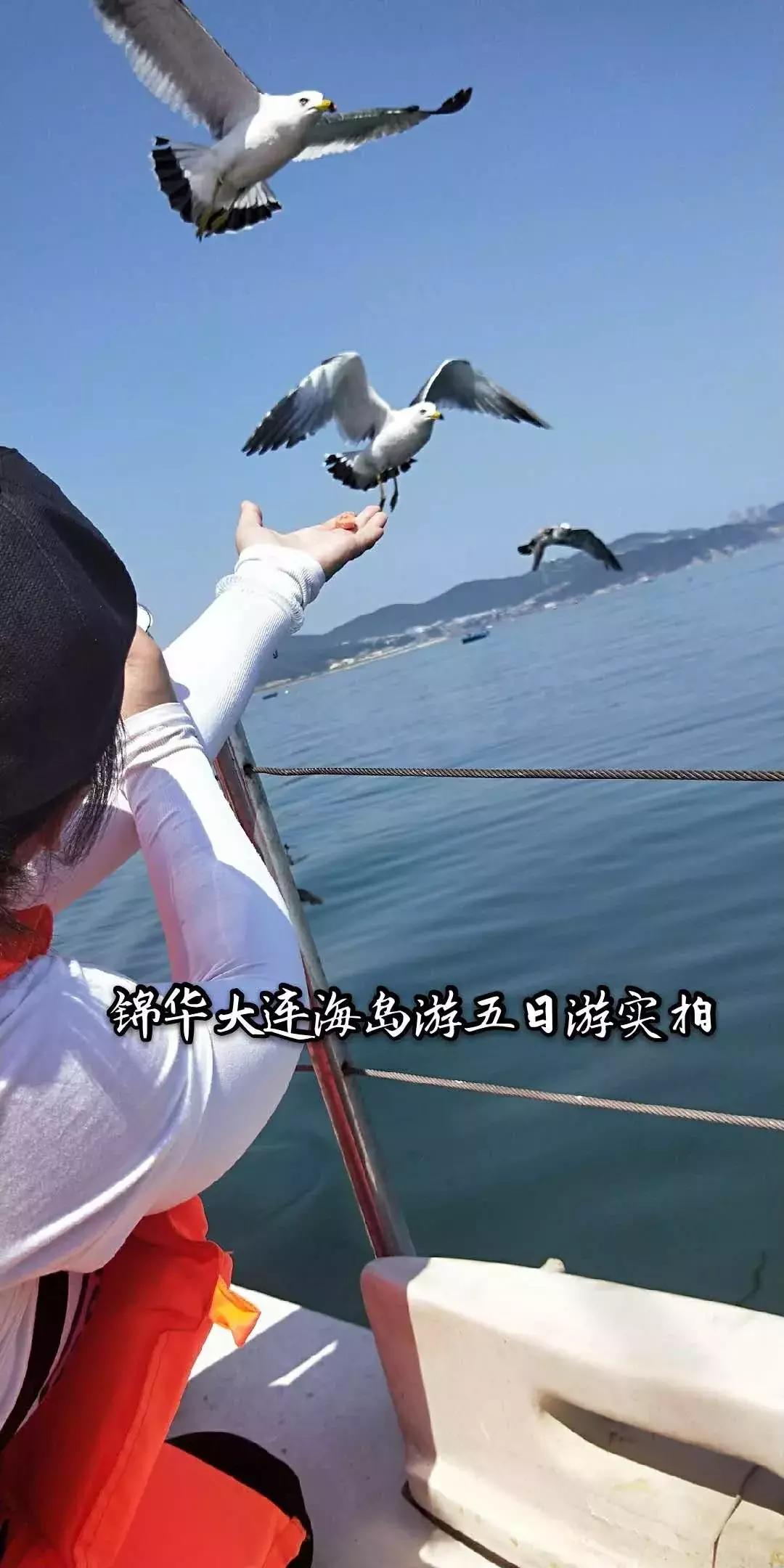 大连绝美海岛旅游攻略路线,七月去大连哪个海岛旅游好