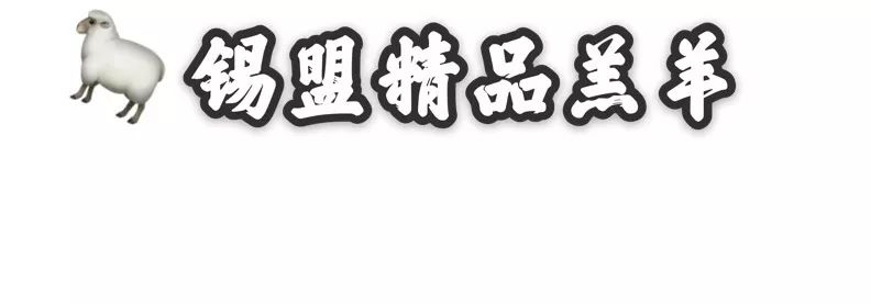 大连神级火锅店多年来从来不打折,大连好吃的火锅店排名前十