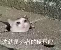 强迫症级家政服务，处理垃圾就要一万多元