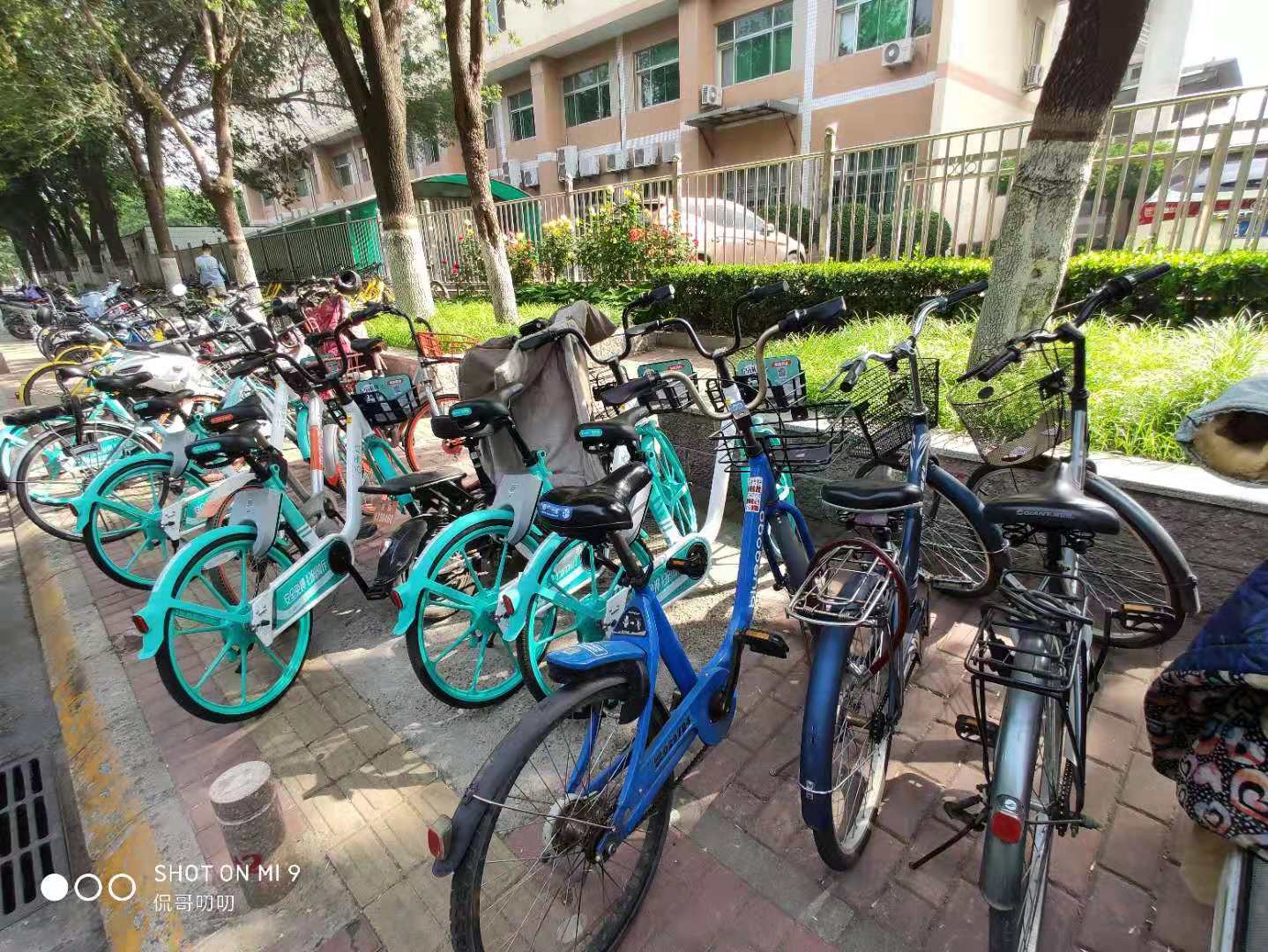 曾经属于小黄车的西二旗正在一点点被“绿”