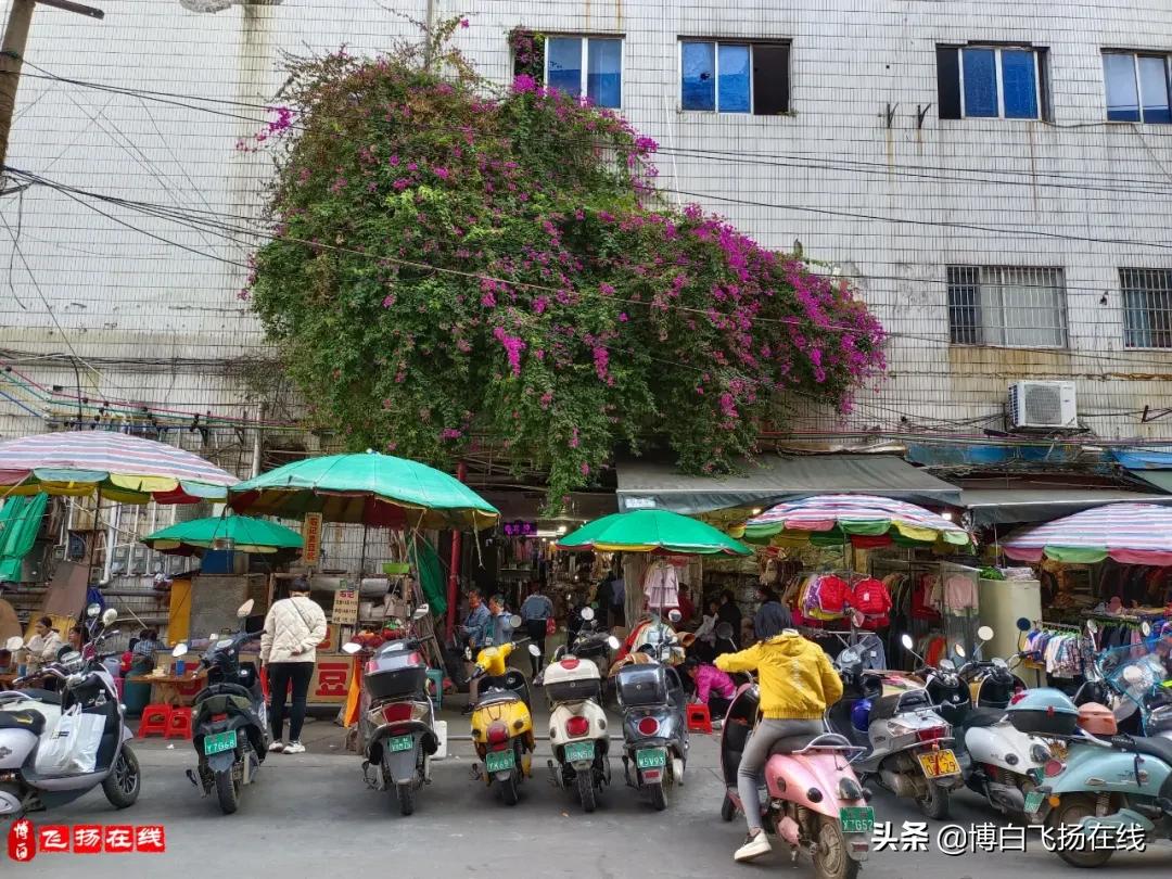 博白繁华地带的兴隆市场，如今却为何如此冷清凄惨？