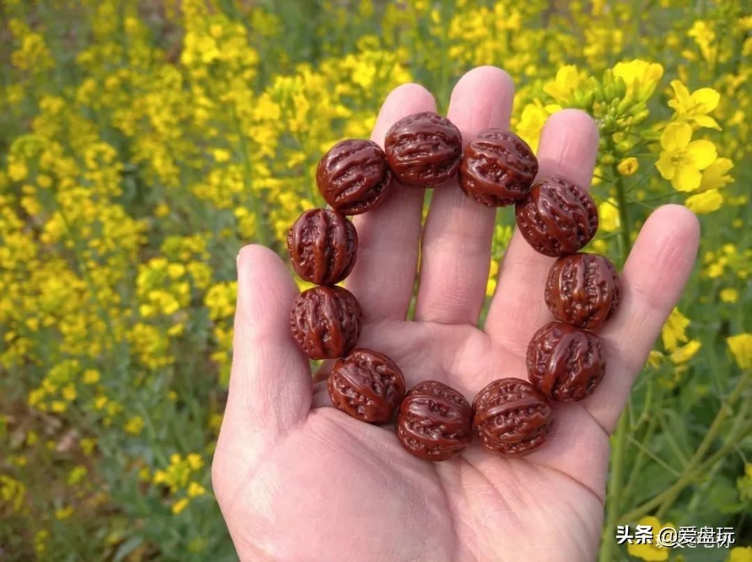 30块钱的大金刚能盘吗,一二十块钱的小金刚能盘吗