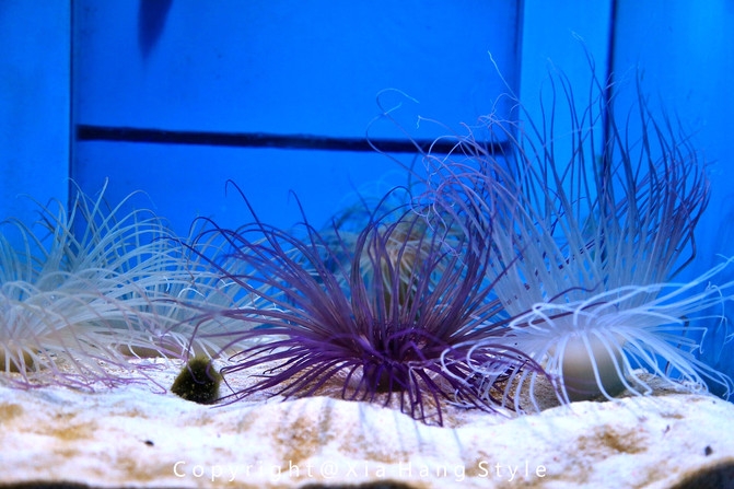 横店梦幻谷拍照景点,亲子游横店梦幻谷水世界