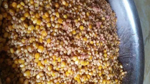 神仙难钓午时鱼下句是什么,神仙难钓午时鱼