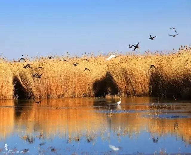 这条最“咸”最彩的公路,治好了我*藏西**的病,解掉了我*疆新**的毒