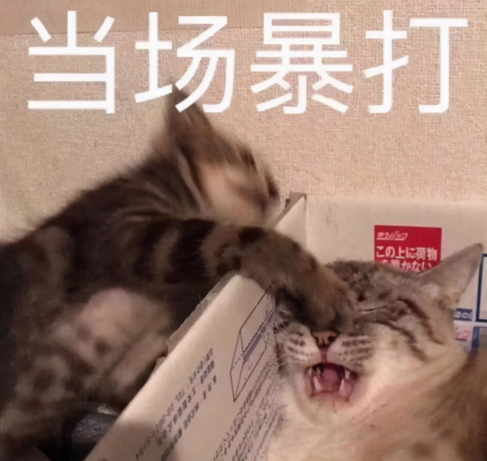 在留学行李箱中，你最后悔从内地带去的东西是什么？