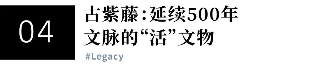 2021年全球十大博物馆,最值得去的十个博物馆