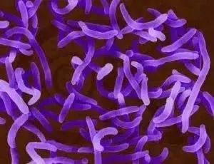 一下放倒523人次！这个水果怎么就成“毒物”了？