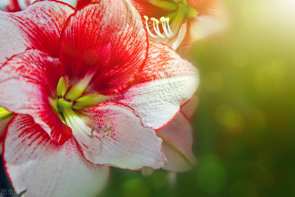 同样只活在自己的世界里，熊磊、丁红、素老三，人生如此不同