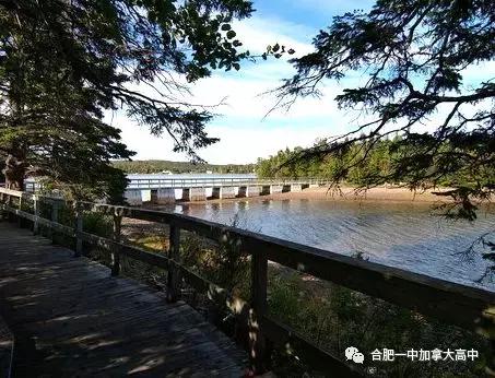 拥有小镇的舒适大城市的现代化气息——圣弗朗西斯泽维尔大学