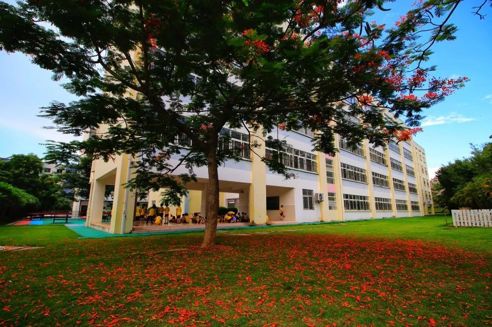 漳州港哪个学校最好,漳州最美校园