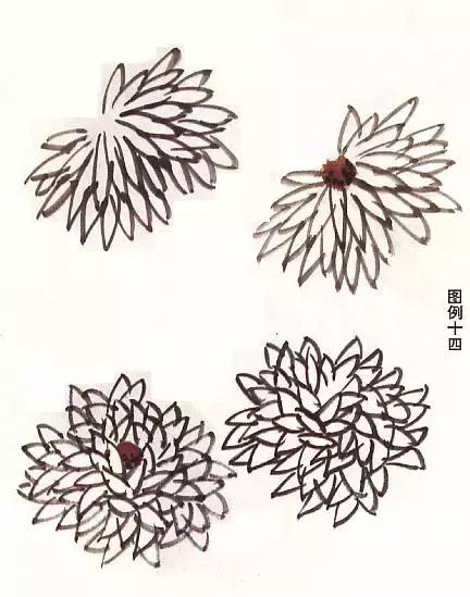 菊花国画入门简单教程,国画菊花画法技法教程